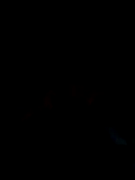 loyalboy_0052 (M young) - #beardy #big-balls #big-cocks #black-hair #cam2cam #cheapest-privates #cum-play #cumshot #dirty-talk #doggy-style #hd #hindi #indian #medium #mobile #new #oil-show #sexting #small-audience #straight #trimmed #young