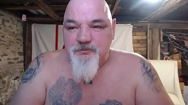 Newfiesausage1972 webcam