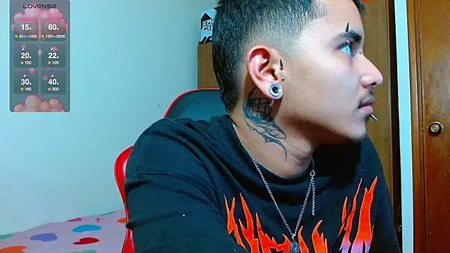 Hgp3riodictabl3 webcam