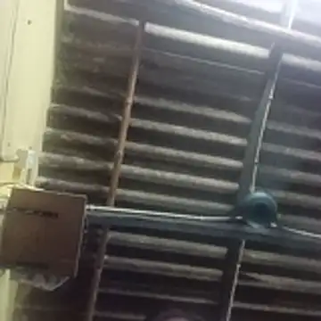 senguptadiya248 webcam