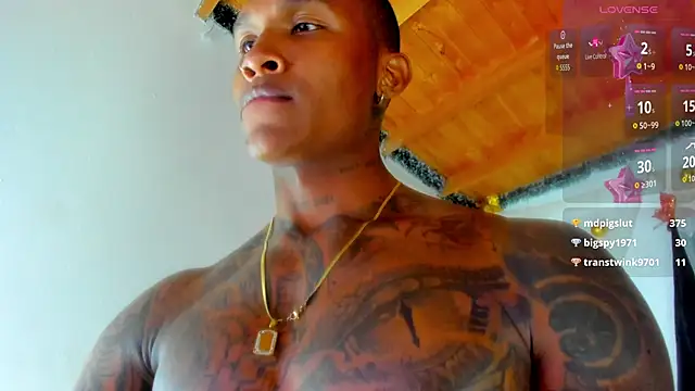 esteveen_ortegas_ webcam