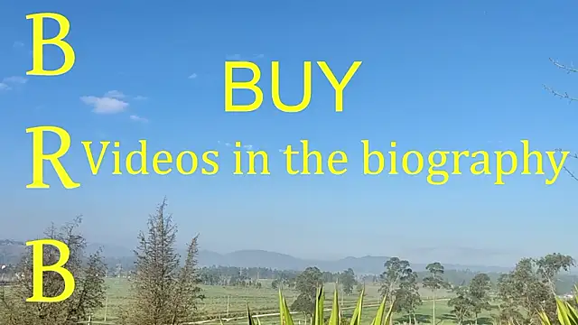 LazyandSniffer28 webcam