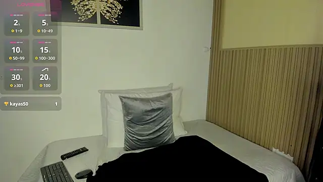 summer_night_ webcam