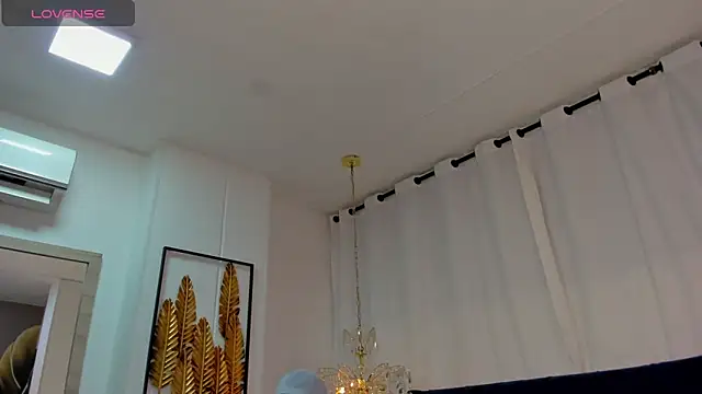 AerumChae webcam