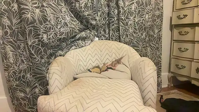 wolverinedream webcam