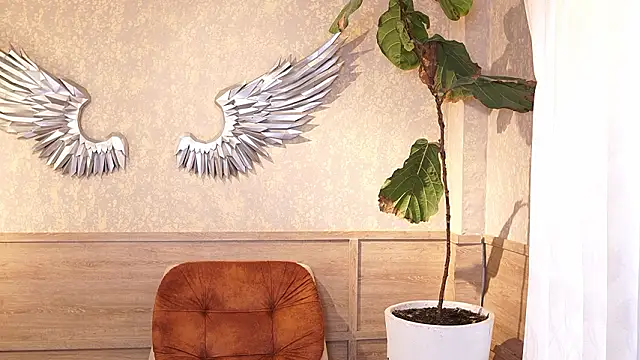 Ethan_occonor webcam