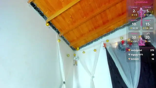 esteveen_ortegas_ webcam