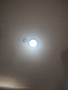 Ninabigtitied webcam