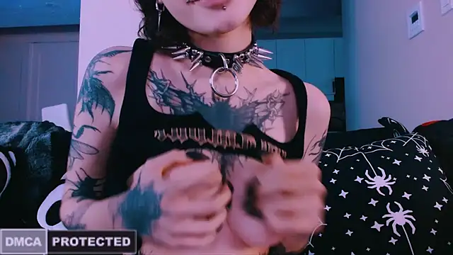 NaughtyLittleFox webcam