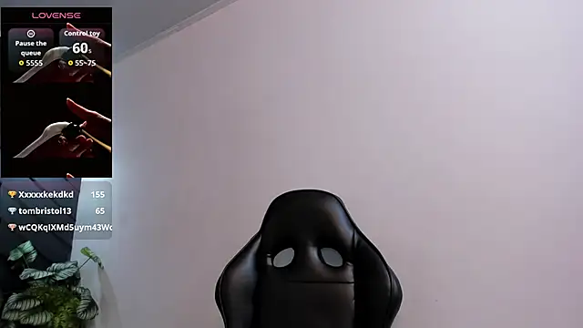 Hanna_Becker_ webcam