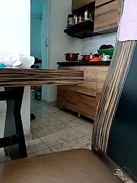 LEIRIS_Y_FRED_01 webcam