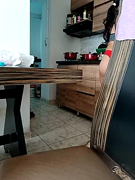 LEIRIS_Y_FRED_01 webcam