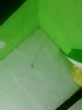 swartilodhi123 webcam