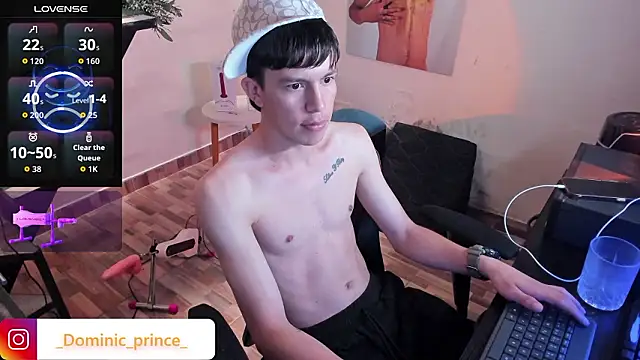 DominicPrince webcam