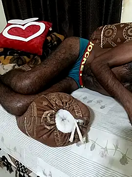 Chocolate_stud10 webcam
