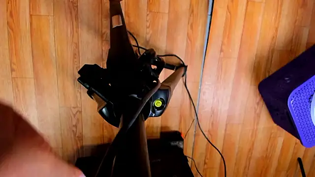 Charlotte_curvy_ webcam