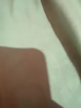 Lisacuatro20x webcam