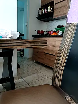 LEIRIS_Y_FRED_01 webcam