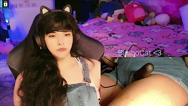 BimboCat webcam