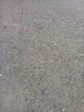 Fernandar2025 webcam