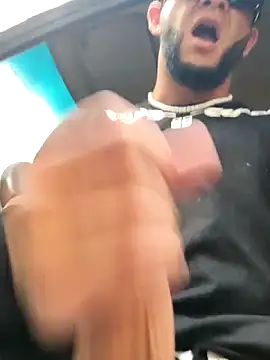 PIGHIGHDIRTY_p0 webcam