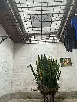 oliver_price1 webcam