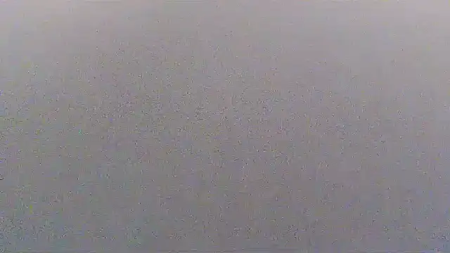 sissytrapdolly24 webcam