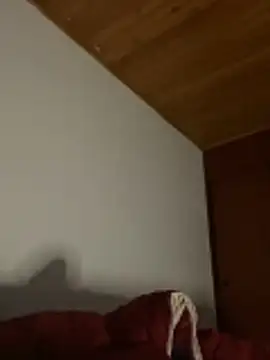 Michaell_Spinelly webcam