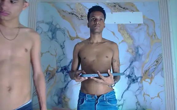 Damian_and_theo webcam