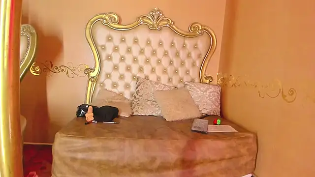 Bayolin_Oslon webcam