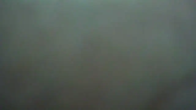 CleverPitzimitzi webcam
