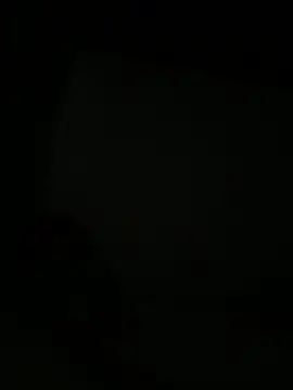 Michaell_Spinelly webcam