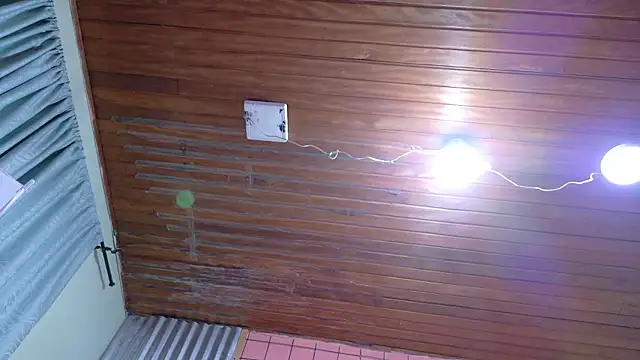 martin_killer webcam