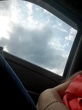 Sunflower0025 webcam