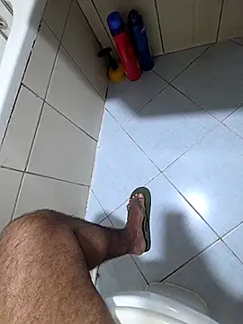 dream_catcher webcam