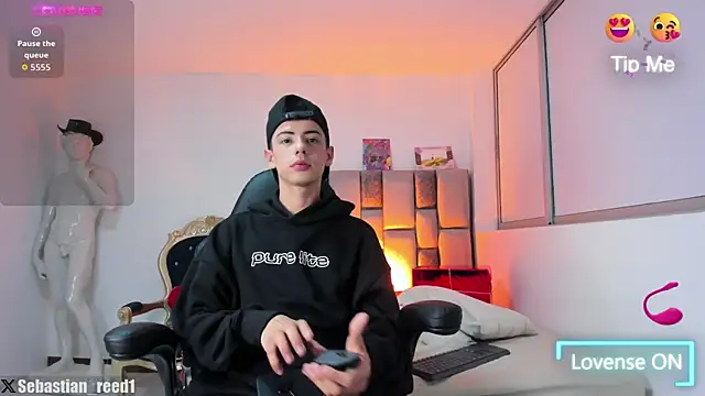 Sebastian_Reed webcam