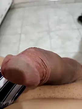 Exoticovergon webcam