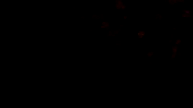 Dollperverthot webcam