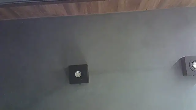 SkinnyKitten webcam