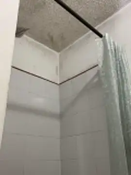 Michaell_Spinelly webcam