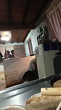 ChanneldelaCroix webcam