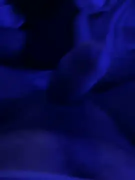 darknebula80 - Darknebula80's free webcam - UK Sex Cams