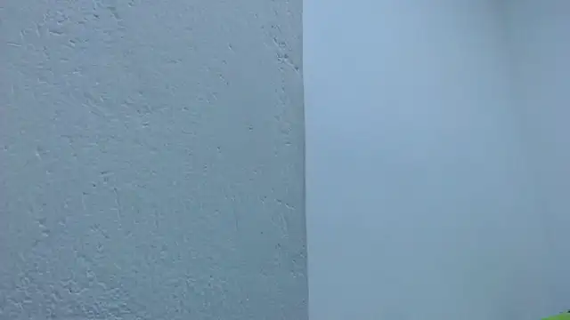 carolina_zabala_19 webcam