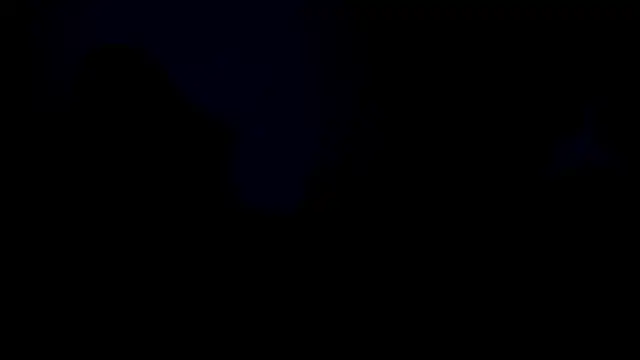 Charlote_Grey webcam