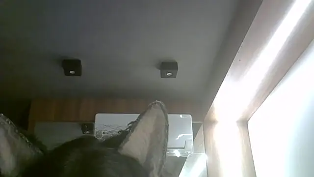 SkinnyKitten webcam