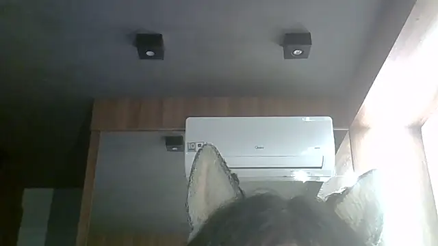 SkinnyKitten webcam