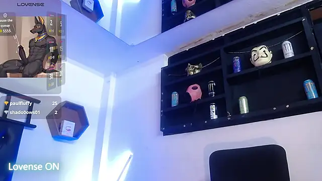 subarashi_ishi69 webcam