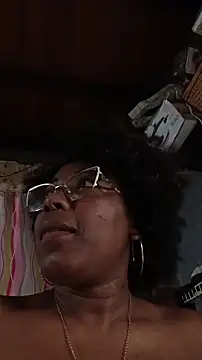 ChanneldelaCroix webcam