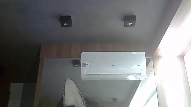 SkinnyKitten webcam