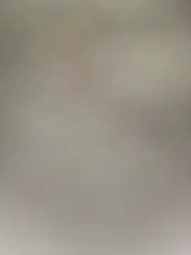 Shreya_pandit webcam